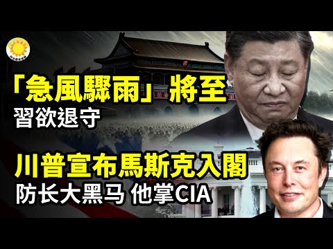 ?川普宣布马斯克入阁?️ "急风骤雨"将至！习近平欲退守?大黑马！川普钦点他出任国防部长?川普内阁最新提名：他出任中情局长【阿波罗网CT】
