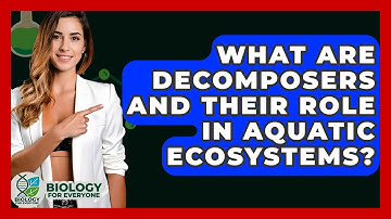 What Are Decomposers And Their Role In Aquatic Ecosystems? - Biology For Everyone