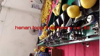 pomelo sorting machine