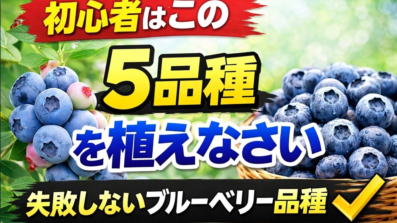 苗木ラインナップ及び最新情報 ～スプリングフェス2026～ - 愛知県岡崎