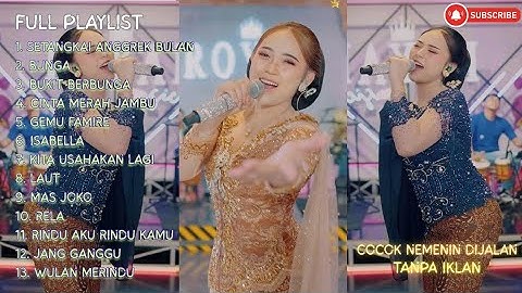 SETANGKAI ANGGREK BULAN - BUNGA - BUKIT BERBUNGA - SILVY KUMALASARI - OM HIMAWAN | FYP TIKTOK VIRAL