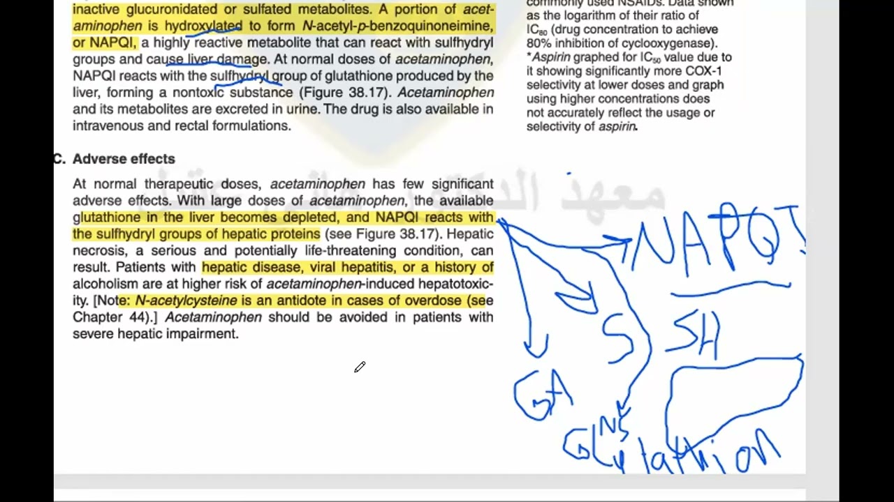 Anti inflammatory and anti pyretic PART 2 Anti inflammatory and anti pyretic PART 2