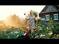 Петух украл телефон. #юмор #садоводство #дача #огород