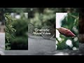 Cinematic Music Video | Apoorv Srivastava | Sony A7iii