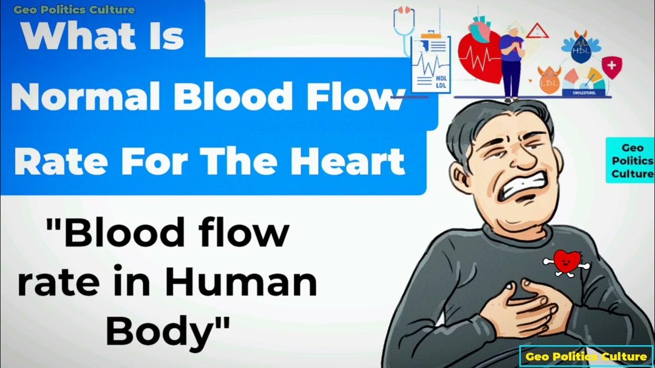 What Is Normal Blood Flow Rate For The Heart? Blood Flow Rate Geo