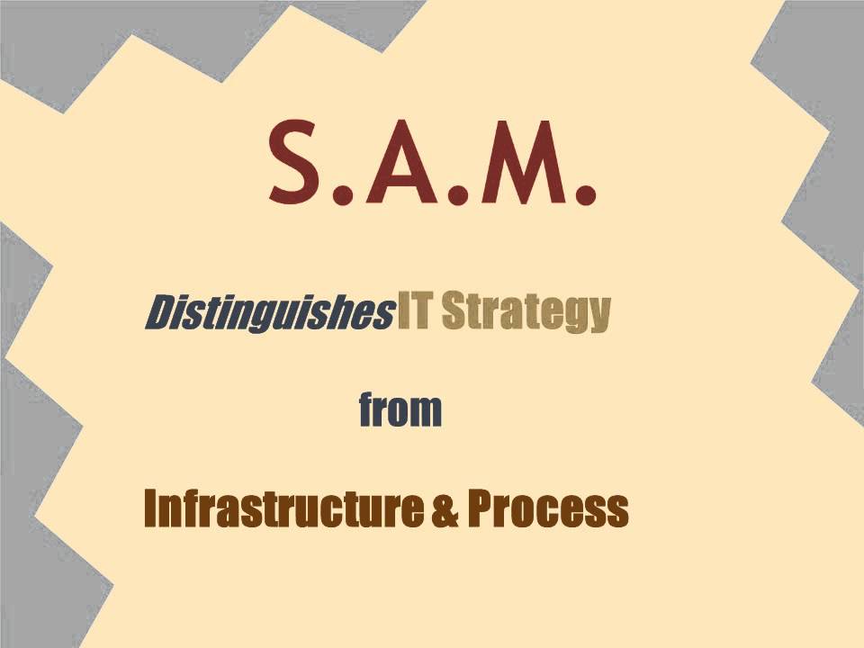 Strategic Alignment Model (S.A.M)