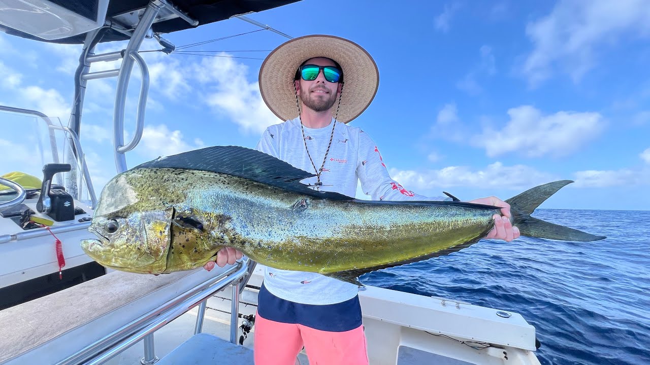 San Carlos, Mexico Dorado, Sailfish & Marlin fishing with Darr Colburn ...