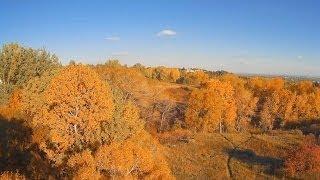Mobius Actioncam massive orange color shift