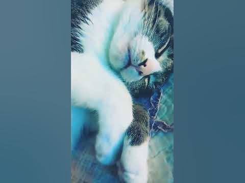 Сладкий Крепкий Сон. - YouTube