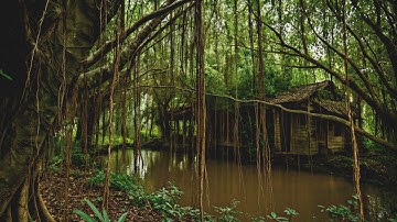 Trại Rắn Bỏ Hoang: Rùng Mình Khi Đặt Chân Đến Nơi Chỉ Có Nỗi Sợ Hãi Và Sự Ám Ảnh | Cảnh Tê 