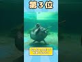 カメさん映像見て癒されたら寝ろｗｗｗ #動物 #2ch #2ch動物スレ #カメ