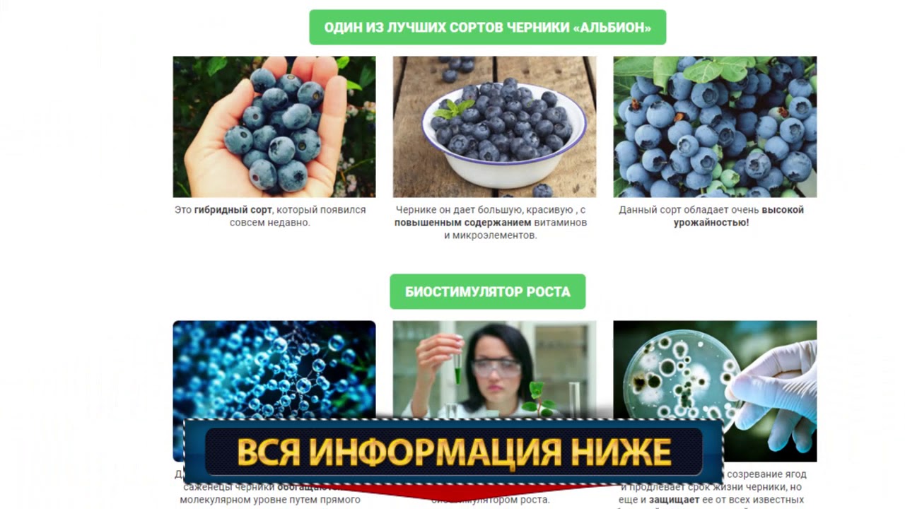 Магазин Черника Калуга Официальный Сайт