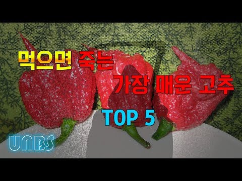UNBS 지식잇기 104회 - 세상에서 가장 매운 고추 TOP 5