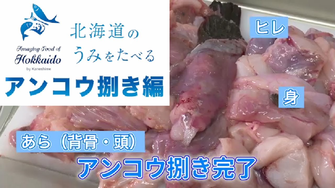 アンコウを捌いたら捨てるところがほとんど無かった アンコウ捌き方編 Youtube