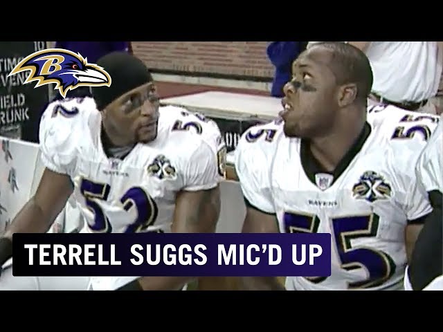 NFL - Baltimore Ravens LB Terrell Suggs