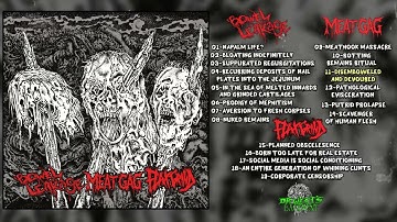 Bowel Leakage / Meatgag / FlaxGrind Split CD FULL ALBUM (2025 - Goregrind)