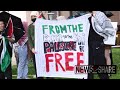 Students for Socialism rally against Israel at University of Southern Florida