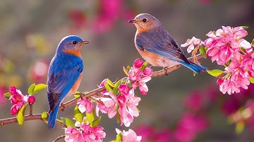 سورة الروم الآية 21