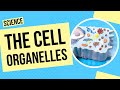 Exploring the World of Cells and Organelles