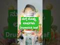 Moringa - ನುಗ್ಗೆ ಸೊಪ್ಪು🌿 #drvidyasimplifiedwellness #doctor #health