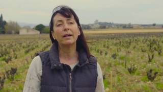 Vineyard Stories Domaine Du Pegau