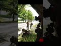 Shoot the head