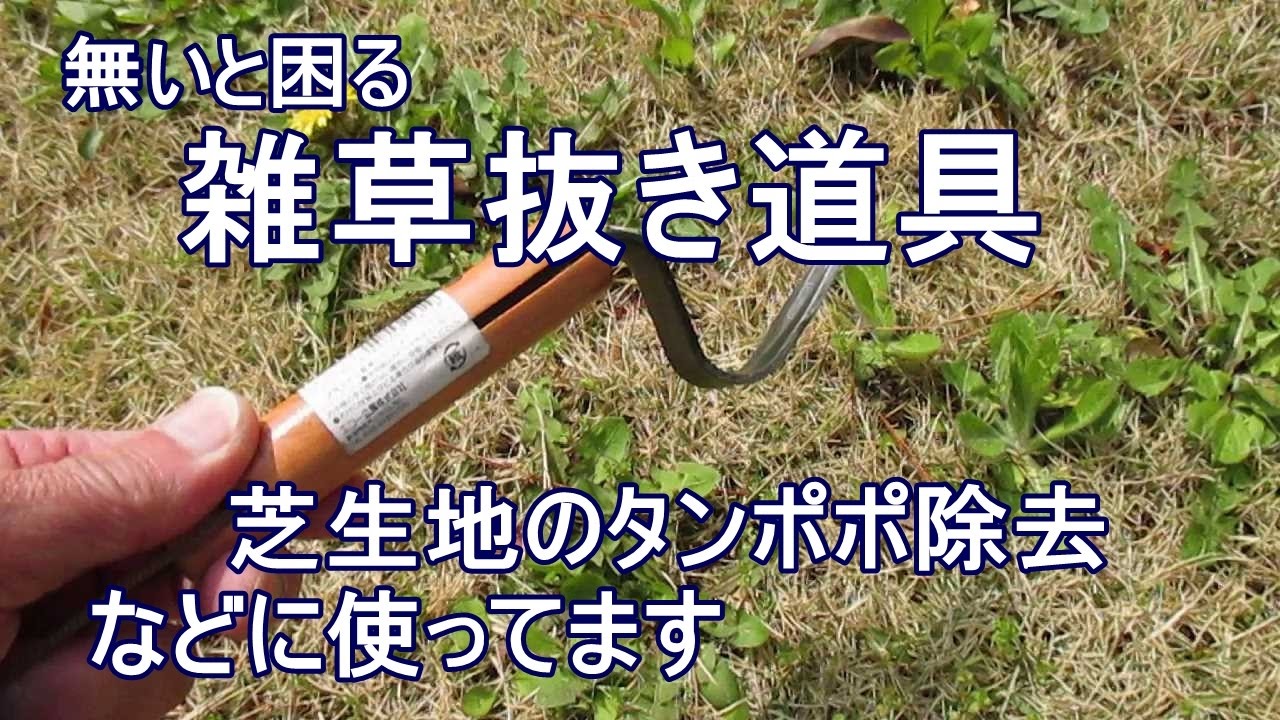 無いと困る雑草抜き道具 芝生地のタンポポ除去 Youtube