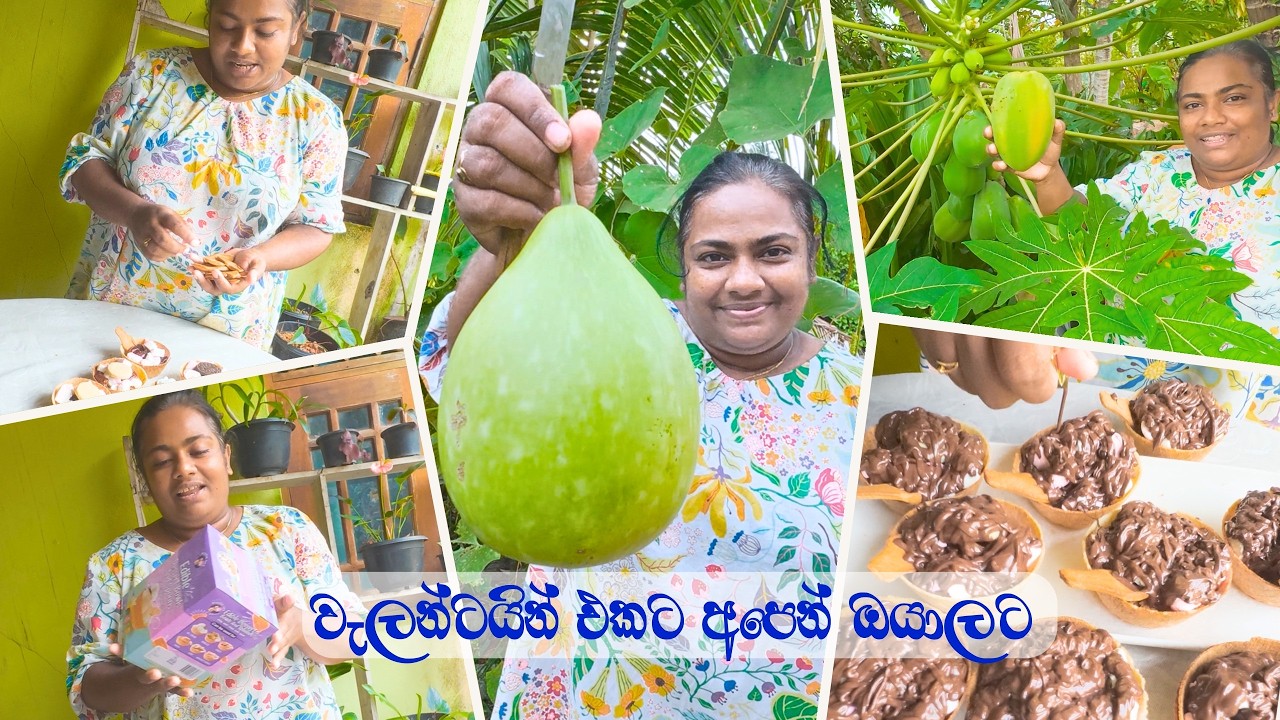 චොකලට් පිරුණු රස කප් කේක් එකක් කාල ලබු කඩන්න යමුද අපිත් එක්ක - VeggieMaster