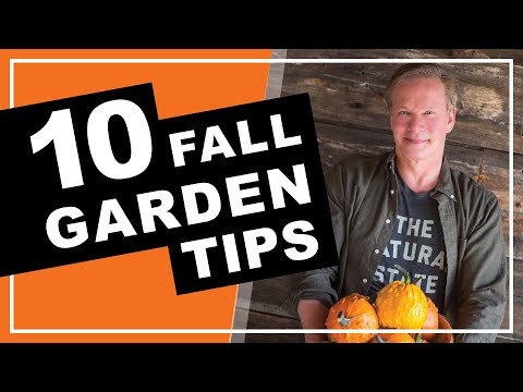 Vídeo: The Fall Garden - Aprenda a estender a temporada de colheita