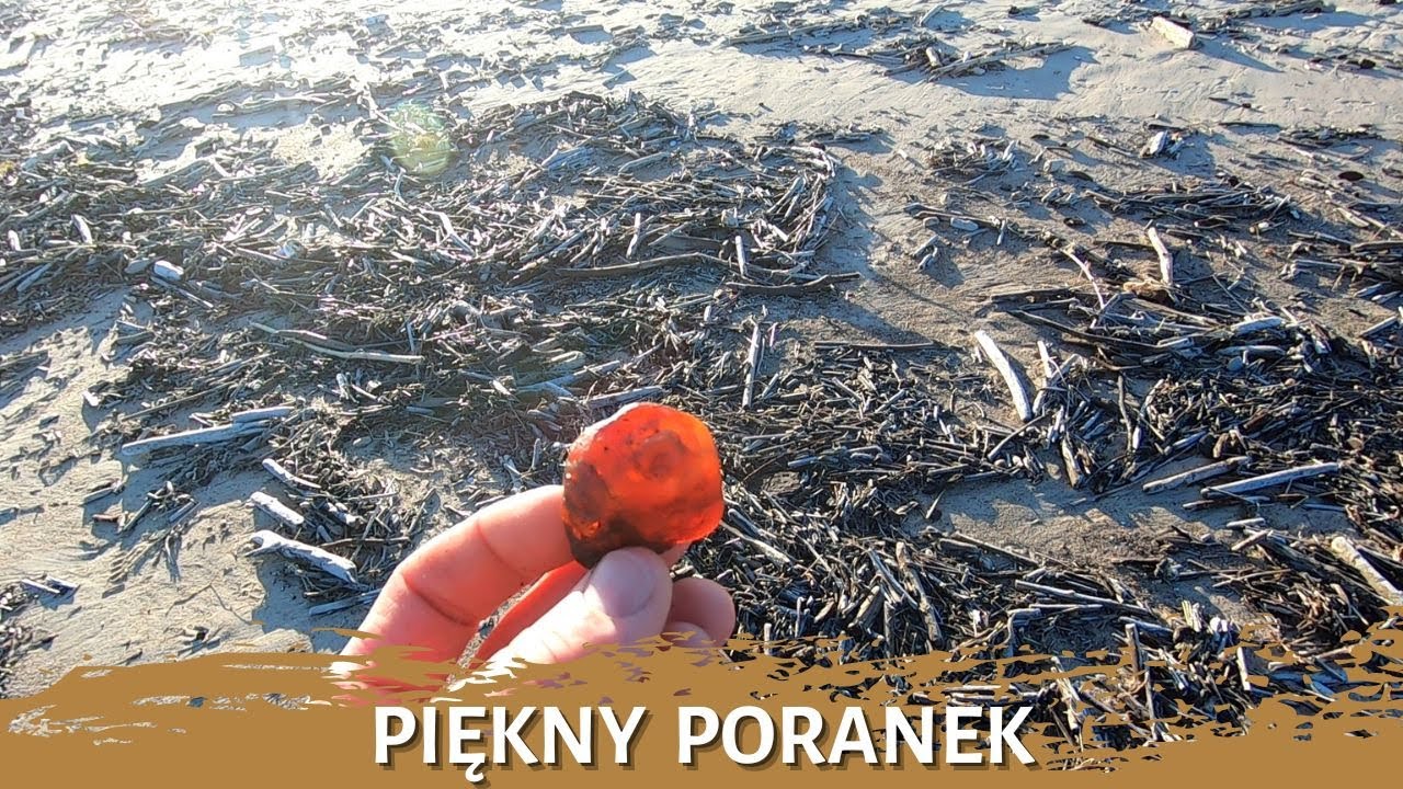 Piękny poranek - zbieranie bursztynu po sztormie - poławiacz bursztynu