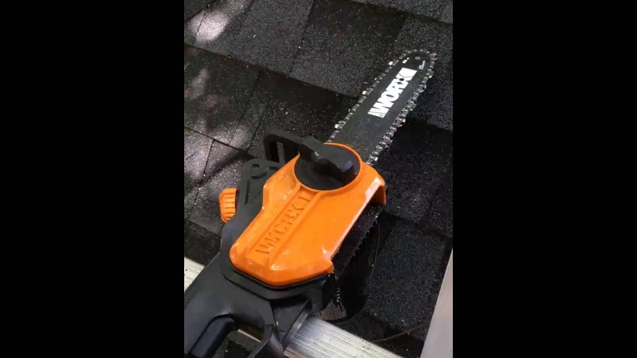 tree branch trimming Exclusive Wildlife & Pest Control~ Tree Branch Trimming