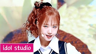 최유정 CHOI YOOJUNG - Sunflower (교차편집 Stage Mix)