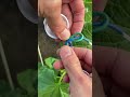 Genius Strain Relief Knot Hack for Waterproof Cable Connectors