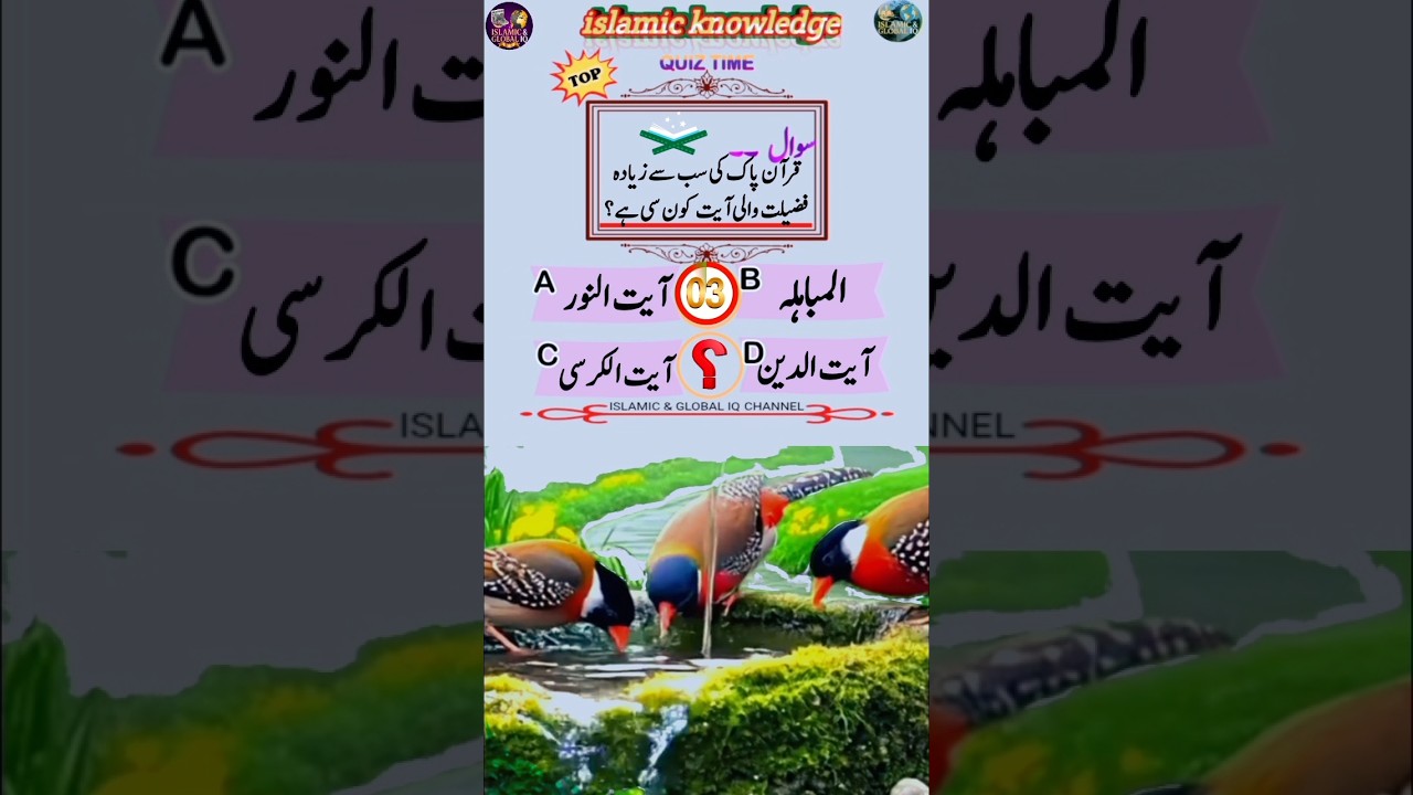 Islamic Questions Answers | 🌐 All About Quran 