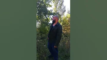 Как нужно вести себя бесстрашно со зверем