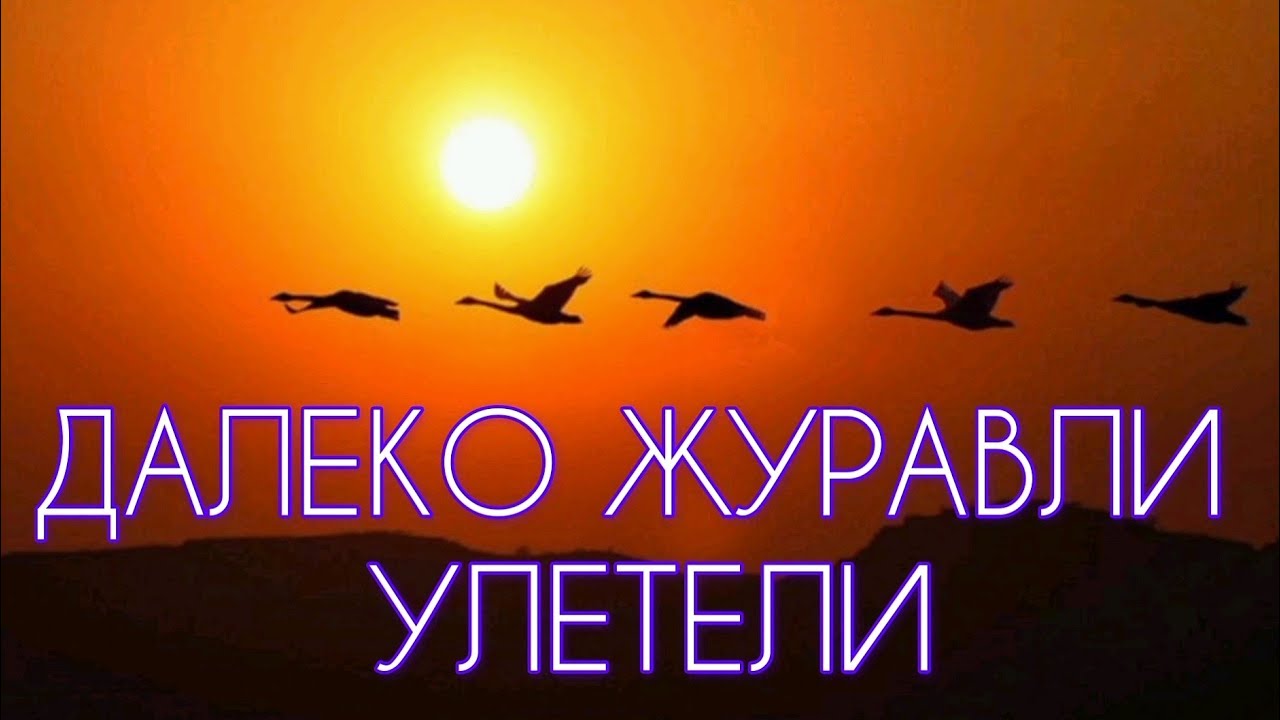 ||ДАЛЕКО ЖУРАВЛИ УЛЕТЕЛИ| |КАРАОКЕ| | ХРИСТИАНСКОЕ ПЕНИЕ| |МСЦ ЕХБ ...