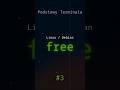 Podstawy terminala Linux | Polecenie free