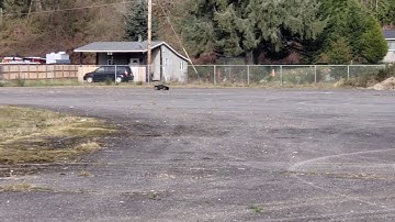 losi 5t dual 800kv motors