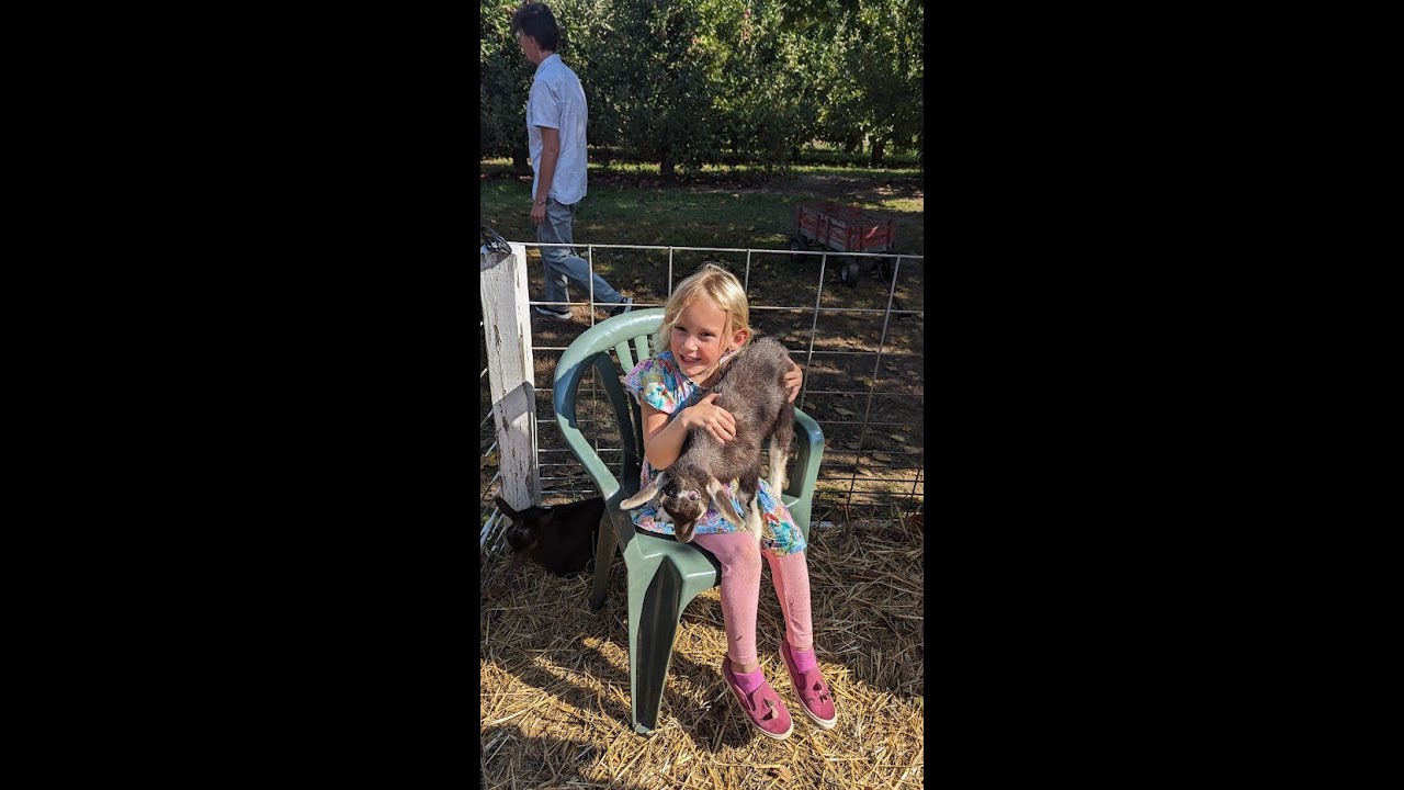 Schwallier's Country Basket Sparta MI YouTube