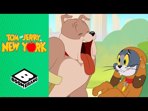 When Tom Turned Into a Dog | Tom & Jerry in New York | Boomerang UK
