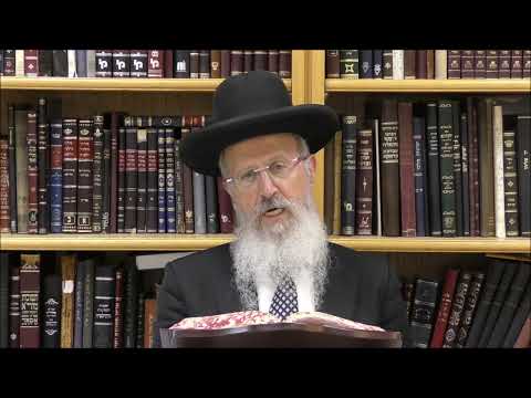 הגאון הרב אברהם שליט"א האם מותר לרכוש מתנות בימי בין המצרים