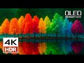 BEST Dolby Vision HDR 4K 60 FPS (4K Video) - 1 Hour of Relaxing Music