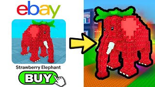 I Bought The RAREST Brainrots on EBAY! (INSANE)