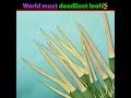World most deadliest leaf