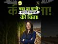 गन्ना या पानी? करोड़ों किसानों की चिंता ! #sugarcane #ncdex #shorts #shortvideo