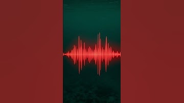 Niemand weet wat dit oceaangeluid veroorzaakte | The Bloop