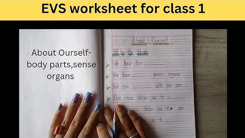 EVS worksheet for class 1 || About Ourself || body parts || sense organs ||Day 2
