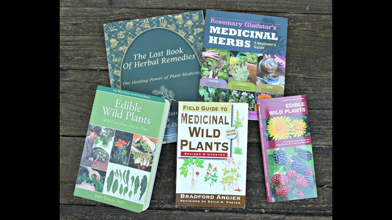 Make a tasty, healthy herb tea with common "weeds"