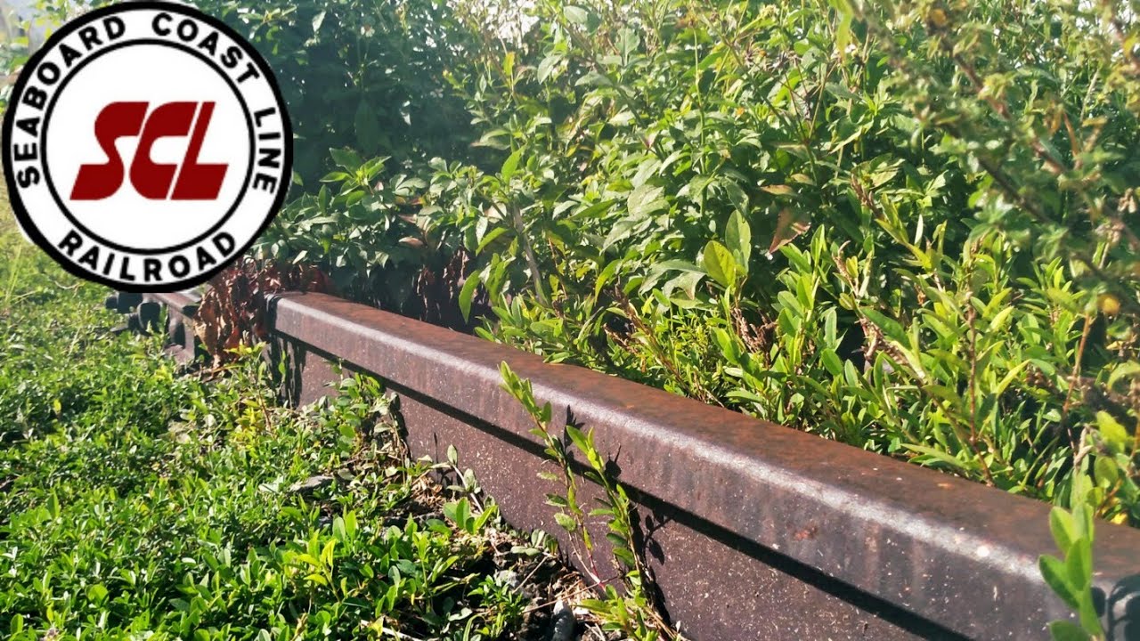 Abandoned Railroad Spur from Seaboard Coast Line Days