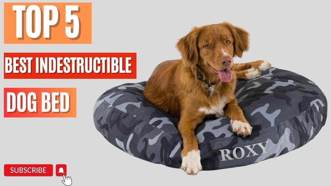 Top 5 Best Indestructible Dog Bed ChewProof Dog Bed YouTube